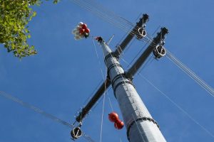 Terna premiata come eccellenza mondiale in ambito “green finance”