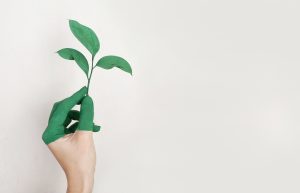 Logistica 4.0 e attenzione all’ambiente: il pensiero di Mauro Ticca