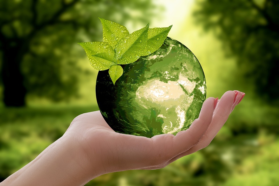 Chi fa di più per l’ambiente?