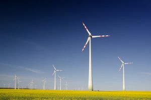 Rinnovabili: forniranno metà dell’elettricità mondiale entro il 2050