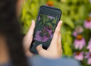 Tecnologia Green, tre app che fanno bene all’ambiente