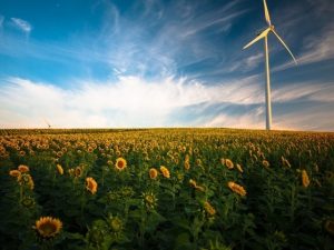 Energia rinnovabile a noleggio