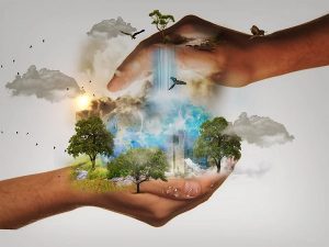 Ambiente, un campus per i giovani da tutta Italia