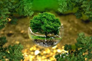 Un nuovo patto per l’ambiente e il territorio