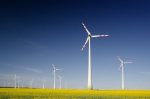 È ufficiale: l’Italia ha un Ministero della transizione ecologica