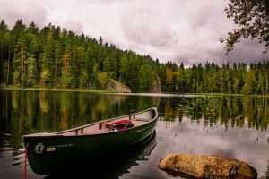 La finlandese Lahti eletta Capitale Verde Europea 2021