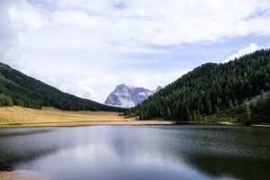 Biodiversità: IKEA e WWF rinnovano la partnership a favore dell’ambiente