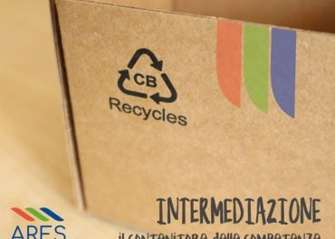 Marco Domizio, Ares Ambiente