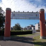 Azienda Agricola Mauro Gualandi: riconoscimento De.Co. Bologna per il “cardo in buca”