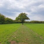Nel cortile dell’asilo, Francesca Garella: a Villanova Monferrato, nascerà una nuova oasi verde