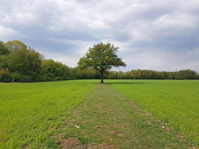 Nel cortile dell’asilo, Francesca Garella: a Villanova Monferrato, nascerà una nuova oasi verde